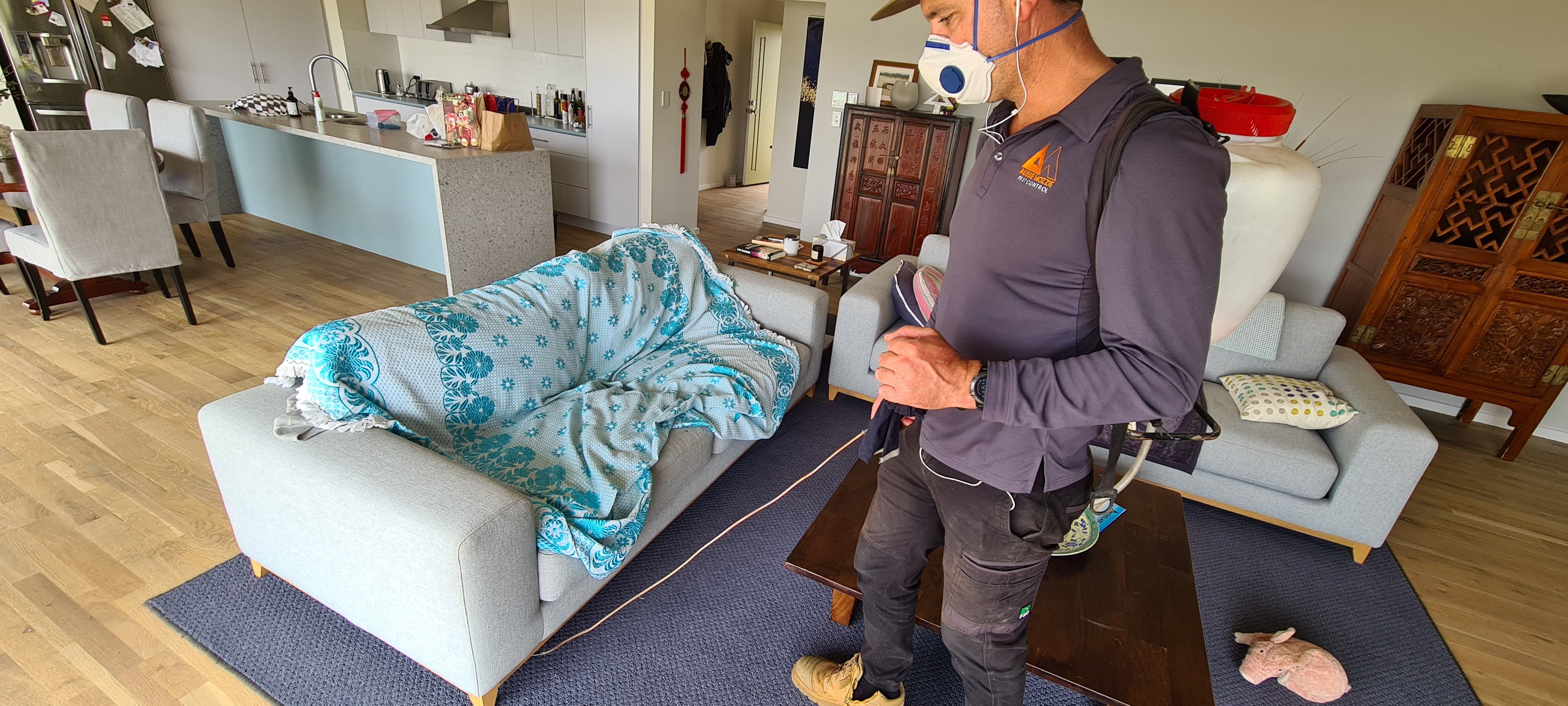 Adam treating along the skirting of a lounge room